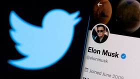 Elon Musk koupil sociální síť Twitter.