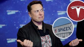 Šéf Tesly a SpaceX uvažuje o změně kariéry. Stane se influencerem na plný úvazek?