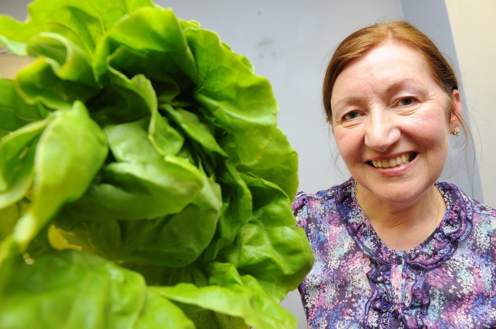 Elsie Campbell odhalil rakovinu obyčejný hlávkový salát.