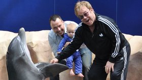 Zpěvák Elton John měl z delfína větší radost než jeho syn Zachary. Toho držel přítel David