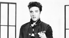 Elvis Presley měl krásné vlasy...