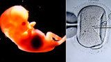 Záměna embryí: Kde se to v Brně „zvrtlo“ a kolik lidí u toho bylo?