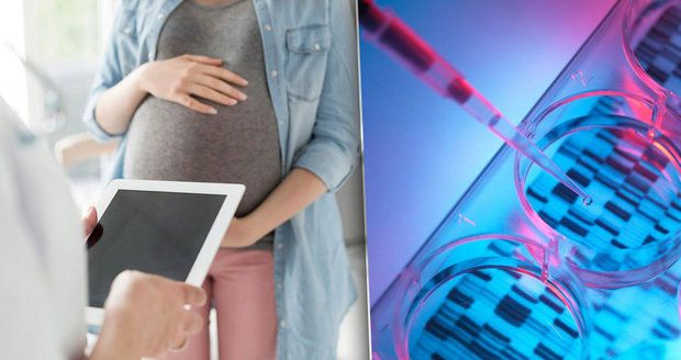 Záměna embryí děsí ČR: Lékařům musíte věřit, vložení cizího „dítěte“ nezabráníte