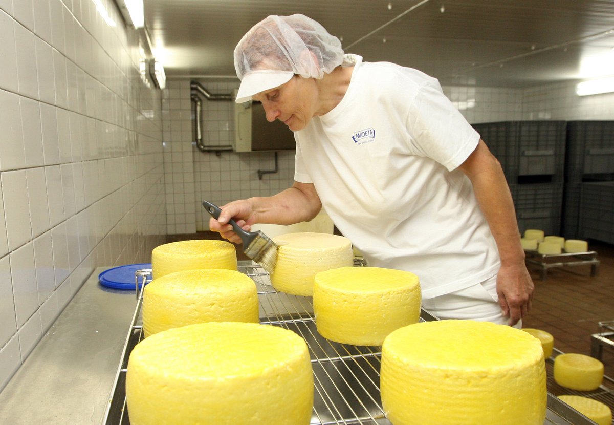 Díky lakování speciální emulzí sýr zraje nejméně dva měsíce.