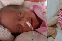Zákeřná těhotenská preeklampsie: Emily po narození vážila jen 740 gramů, dnes je z ní čiperka