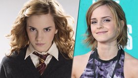 Herečka Emma Watson alias Hermiona z kultovního filmu Harry Potter je nejnebezpečnější celebritou na internetu