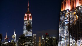 Zastřelenému lvovi Cecilovi vzdali hold v USA: Promítli ho na Empire State Building