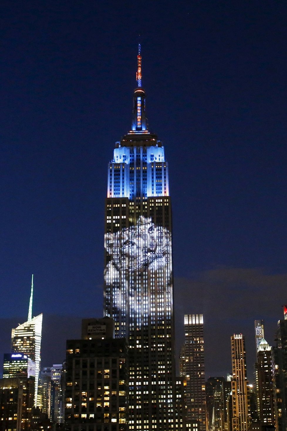 Empire State Building na sebe vzal podobu lva Cecila, tygra i vlka...