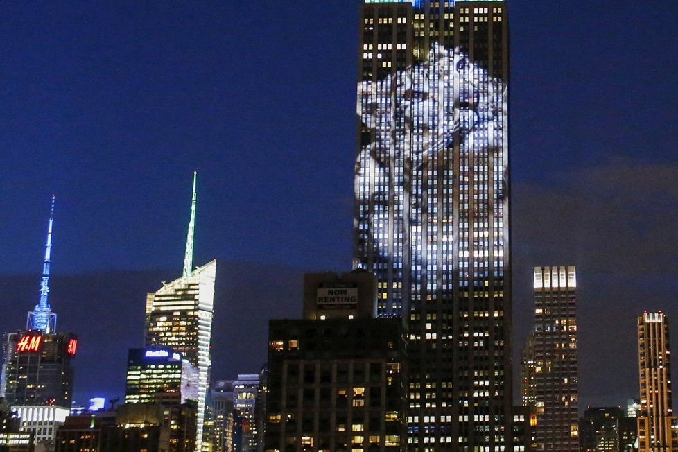 Empire State Building na sebe vzal podobu lva Cecila, tygra i vlka...