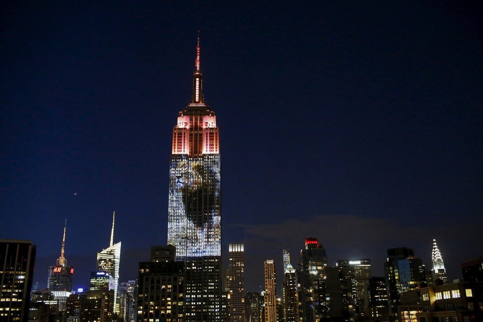 Empire State Building na sebe vzal podobu lva Cecila, tygra i vlka...