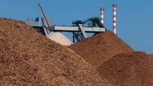 Petr Paukner: Važme si víc biomasy. Může pomoci s energetickou krizí 