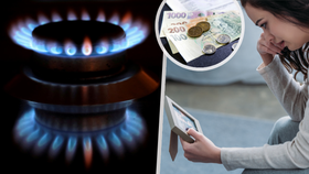 Vyhlídky na levnější energie jsou prakticky v nedohlednu. „Pravděpodobnost, že by šly ceny energií dolů, je hodně malá,“ říká ekonom Lukáš Kovanda.