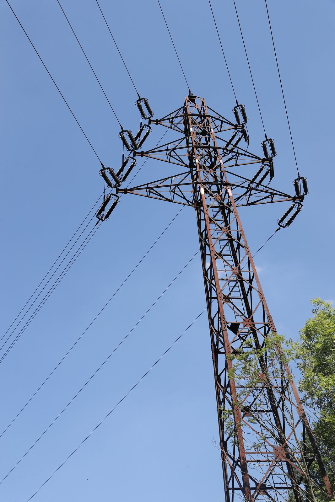 Cena elektrické energie letos vystoupala do závratných výšek.