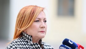O státním rozpočtu mluvila s prezidentem i šéfka resortu financí Alena Schillerová (ANO). (16. 3. 2026)