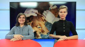 Veterinářka Markéta Bosáková byla hostem pořadu Epicentrum vysílaného 28. 11. 2019. Vpravo moderátorka Markéta Volfová.