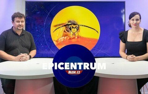 Expert v Blesku o sršních, vosách a včelách: Koho z nich se bát nejvíc?