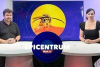 Sršeň asijská v Česku. Odborník popsal její koordinované útoky i v čem je nebezpečná