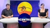 Expert v Blesku o sršních, vosách a včelách: Koho z nich se bát nejvíc?