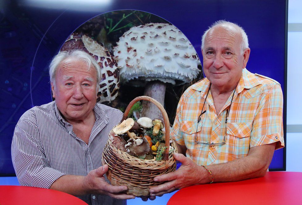 Josef Kadeřávek a Vladimír Štibinger (zleva) ze Sdružení houbařů Čelákovice i se svými úlovky byli hosty pořadu Epicentrum dne 15.8.2018.