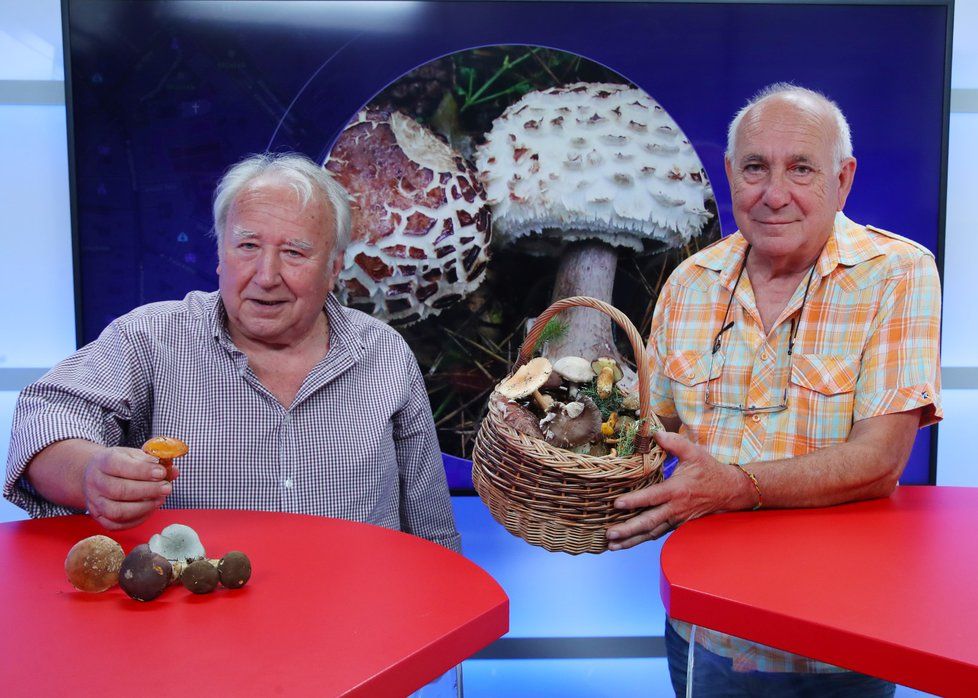 Josef Kadeřávek a Vladimír Štibinger (zleva) ze Sdružení houbařů Čelákovice i se svými úlovky byli hosty pořadu Epicentrum dne 15.8.2018.