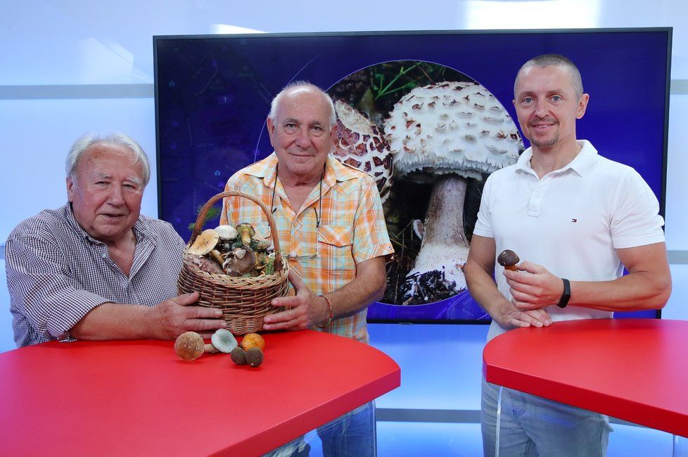 Josef Kadeřávek a Vladimír Štibinger (zleva) ze Sdružení houbařů Čelákovice byli hosty pořadu Epicentrum dne 15.8.2019. Vpravo moderátor Bohuslav Štěpánek.