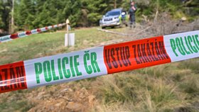 Policie na Šumavě.