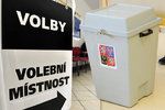 Dvoudenní volby budou v Česku zřejmě brzy minulostí. Na vhození lístku do volební urny budeme mít jen jeden den.