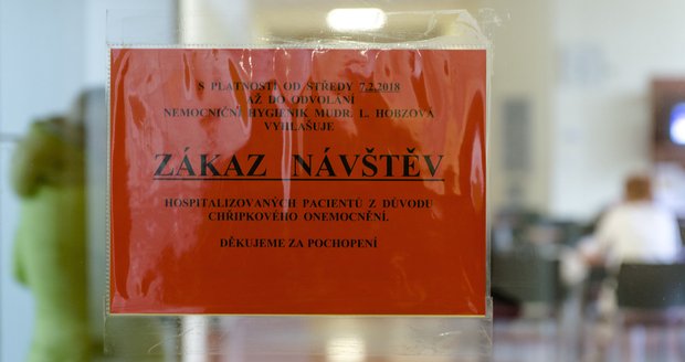 Chřipková epidemie v Česku pokračuje. Mnohé nemocnice ruší návštěvy.