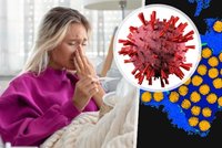 Česko na prahu trojí epidemie: Útočí žloutenka, covid i chřipka