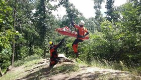 Jihomoravští hasiči pomohli muži, který v lese v Brně Jundrově dostal epileptický záchvat.