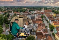 Vzácný virus u českých hranic! Způsobuje smrtící zánět mozku