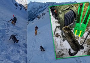 Zatoulané kotě se přidalo k horolezcké výpravě: Dva turisty následovalo až na vrchol hory!