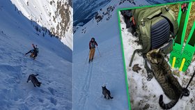 Zatoulané kotě se přidalo k horolezcké výpravě: Dva turisty následovalo až na vrchol hory!