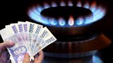 Energetický úřad varuje: Dodavatelé nutí zákazníky do měnících se cen, může to být nelegální