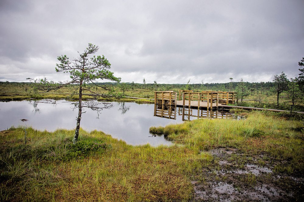 Hluboké tůně i místa k odpočinku, to vše se dá najít například v bažině Riisa v národním parku Soomaa