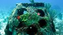 Eternal Reef počítá s tím, že betonovou tvárnici s příměsí popela obroste korál.