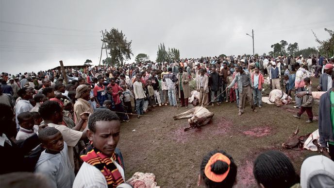 Bizarní etiopská slavnost Meskel: Tancování v pachu krve