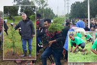 Za den vysázeli přes 353 milionů stromků: Babišův plán před Etiopany bledne