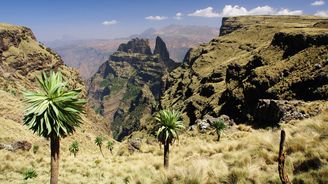Etiopie: Netradiční přírodovědecký ráj, který překvapí neuvěřitelnou pestrostí druhů