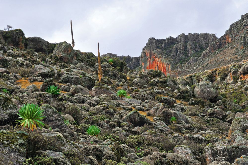 Bale je prý nejkrásnější národní park Etiopie