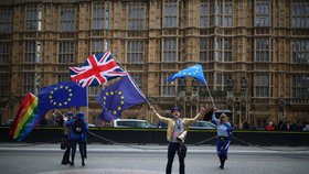 Lidé protestující vůči odchodu Británie z EU