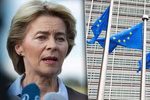 Do čela Evropské komise bude nejspíše postavena ostřílená Němka Ursula von der Leyenová, nyní jí musí schválit evropský parlament