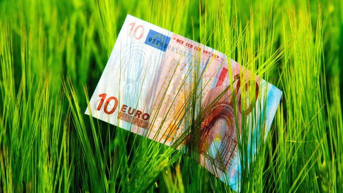 Jeden z nejbohatších Čechů připravuje první emisi takzvaných zelených dluhopisů. Tedy cenných papírů zaměřených na financování šetrných budov a dalších ekologických projektů.