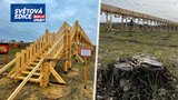 Stezka korunami bez stromů: V projektu za eurodotace Orbánův starosta les prostě vykácel