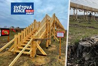 Stezka korunami bez stromů: V projektu za eurodotace Orbánův starosta les prostě vykácel