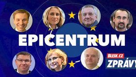 Lídři stran do eurovoleb, zleva nahoře: Kolaja (Piráti), Charanzová (ANO), Zahradil (ODS), Poc (ČSSD), Pospíšil (TOP 09), Konečná (KSČM) a Svoboda (KDU-ČSL)