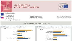 Rok před eurovolbami: Jak jsou na tom Češi a další Evropané s Unií? (strana 1)