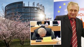 Europarlament je pro politiky zlatý důl. Známý europoslanec a příležitostný spáč Miloslav Ransdorf se přesto dostal do finančních problémů