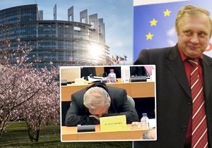 Europarlament je pro politiky zlatý důl. Známý europoslanec a příležitostný spáč Miloslav Ransdorf se přesto dostal do finančních problémů