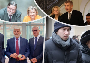 Kandidáti do eurovoleb: Syn Koláře a Holubové, Vrecionová a Vondry a Babišova spolupracovnice